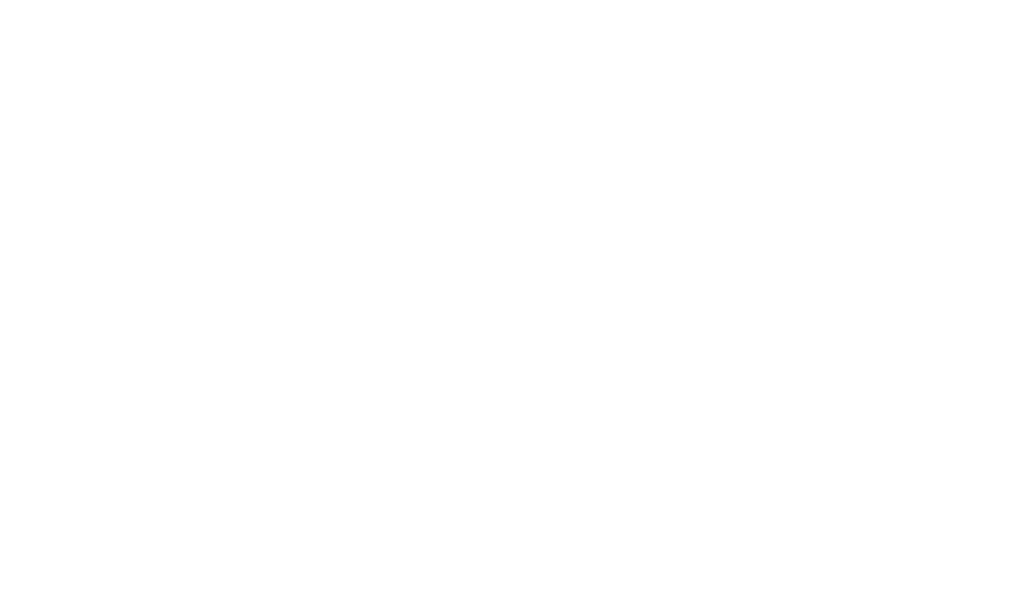 Marchio NoiInsieme